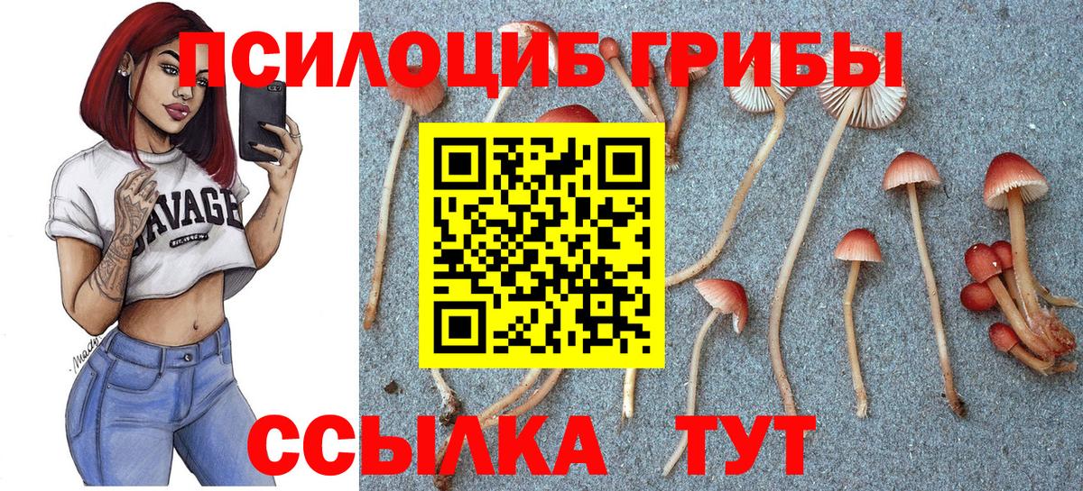 Псилоцибиновые грибы GOLDEN TEACHER  Вход с VPN  Нефтекумск 